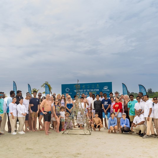 HERO Image SSO Coral Planting