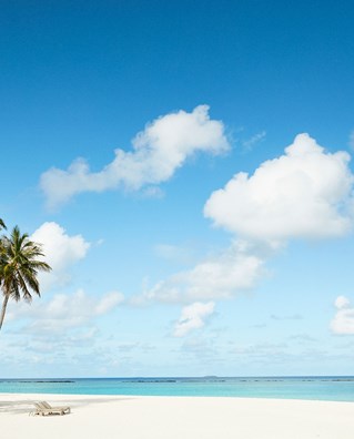Irufushi Island Garden Beaches 0242