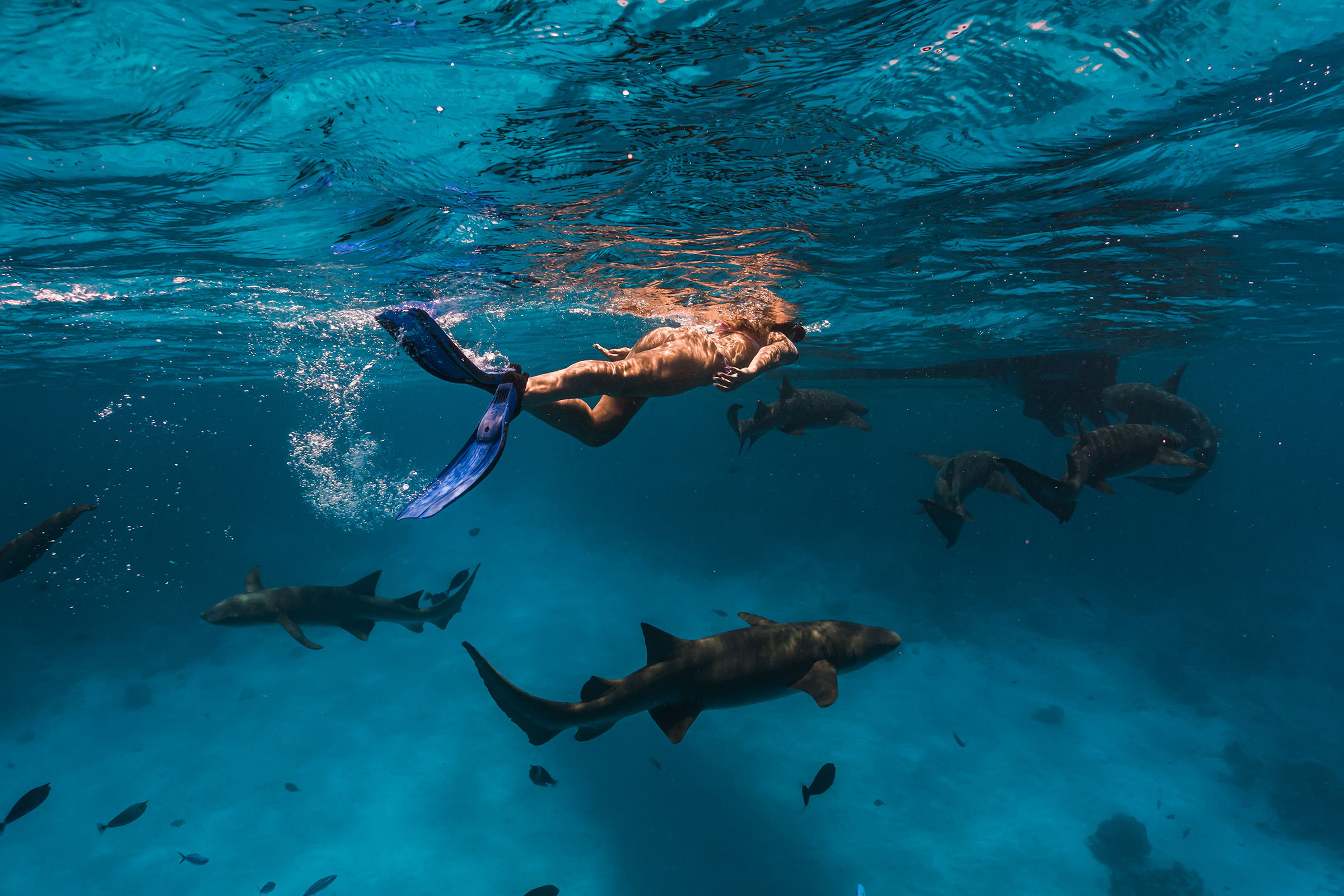 Waves of adventure and Calm