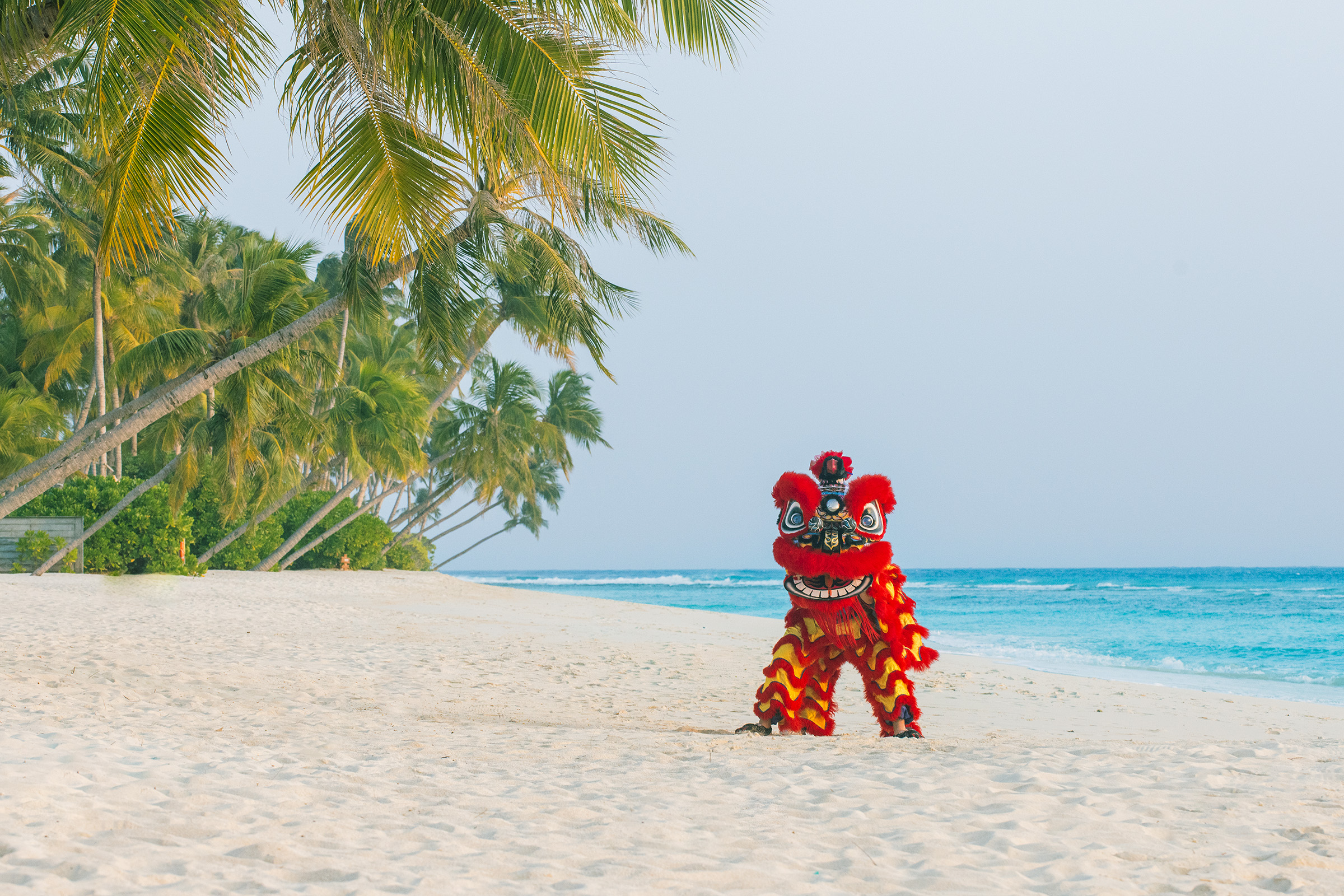 Chinese New Year Press Images Sw