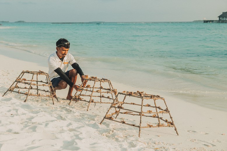 Marine Biologist at Sun SIyam Iru Fushi Maldives