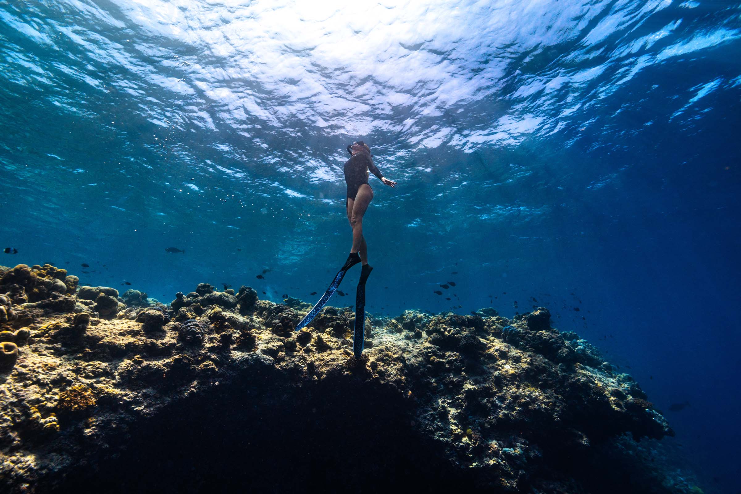 Housereef Snorkelling Iru Veli