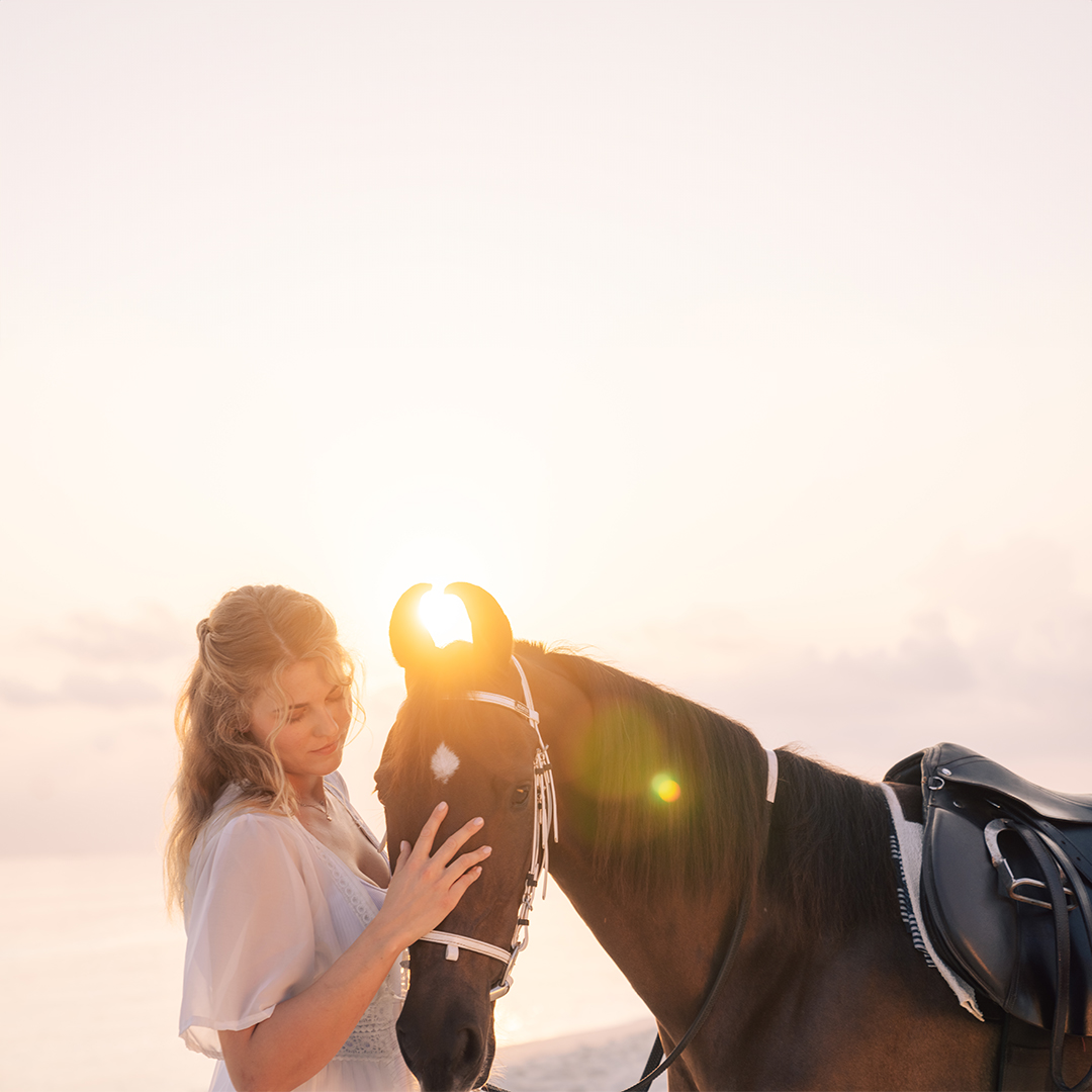 Siyam World Horse Ranch