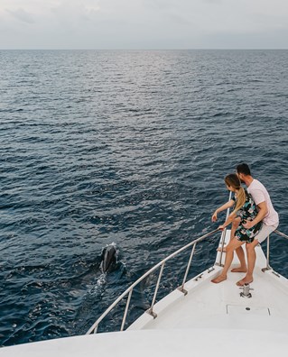 Iru Fushi Dolphin Cruise 1