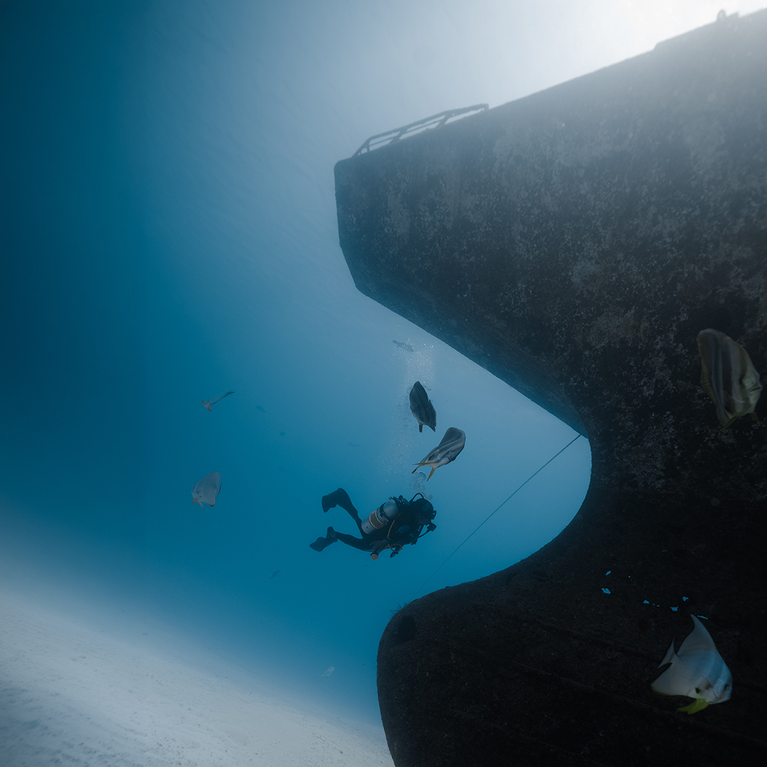 SW Wreck Jpg 64
