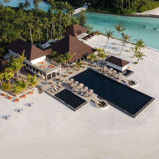 SSO Olive Crust & Flames 2025 18 (1)