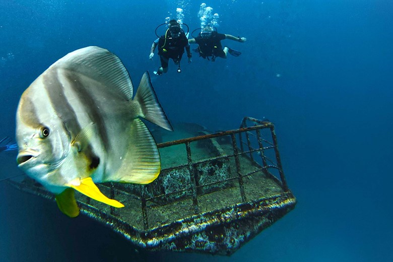 serene and safe environment for diving