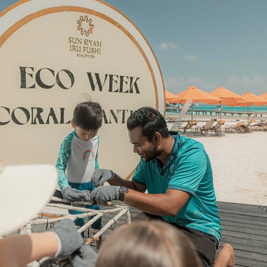 Ssif Immersive Coral Planting 080625 11