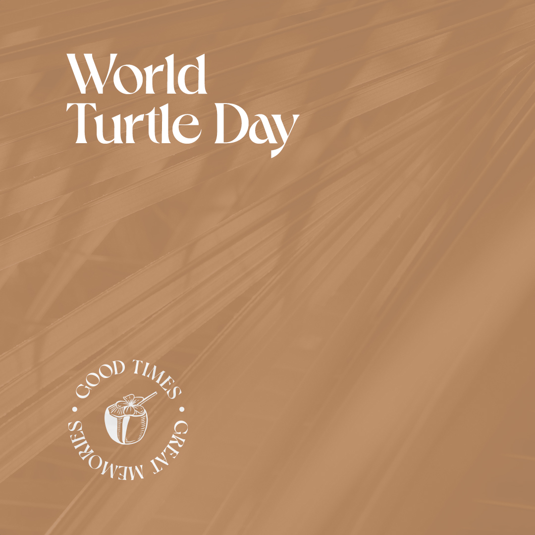 2026 Event SSIF World Turtle Day