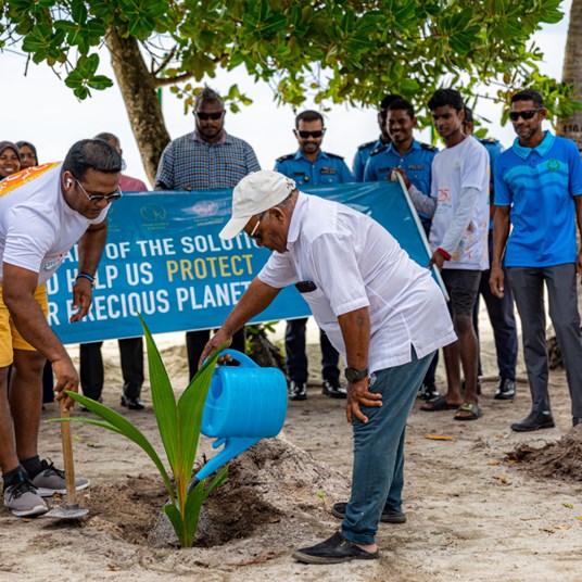 Vilu Reef Tree Planting Project 3