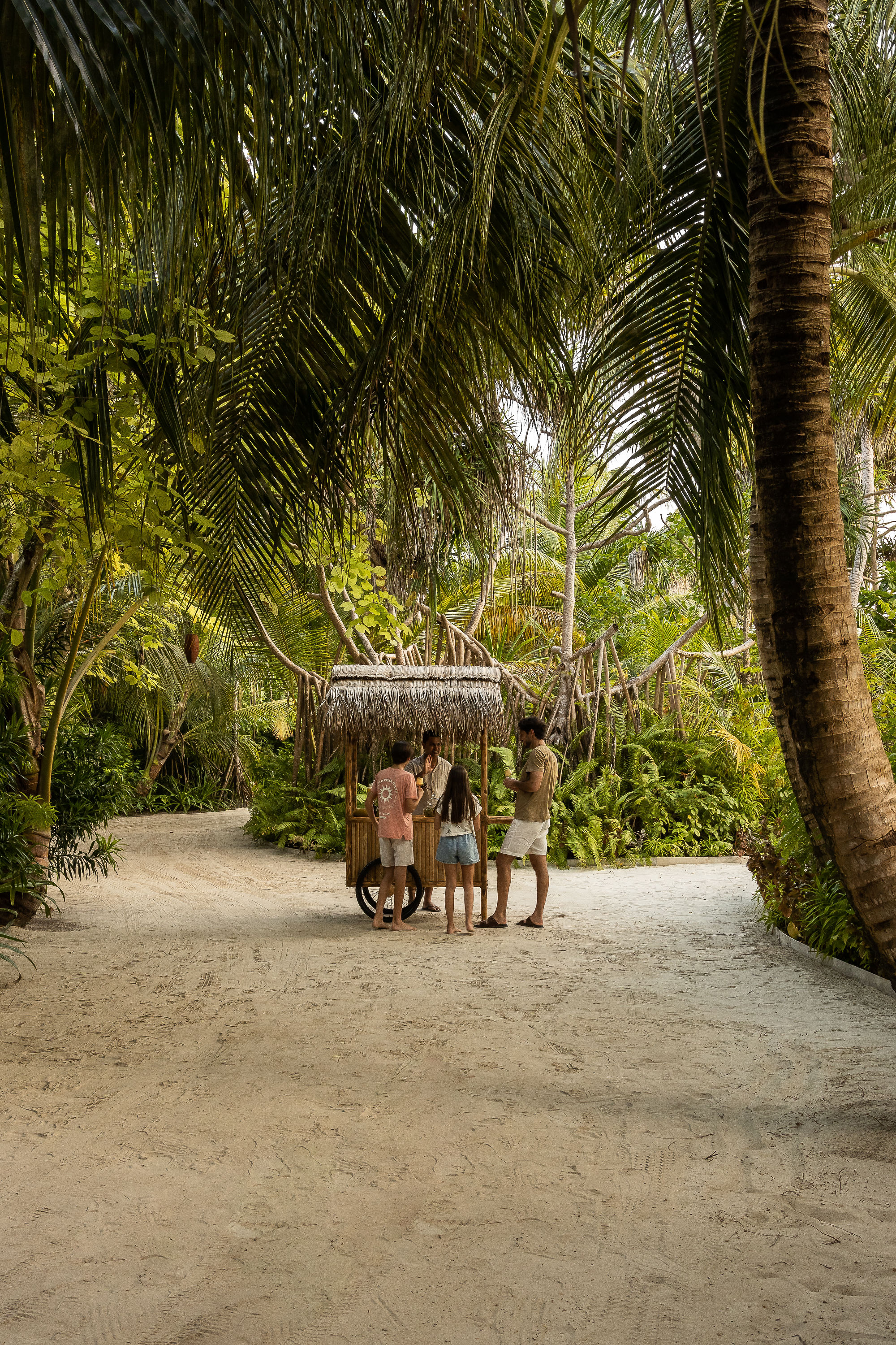 Video thumbnail - Ice-Blocks on the Go