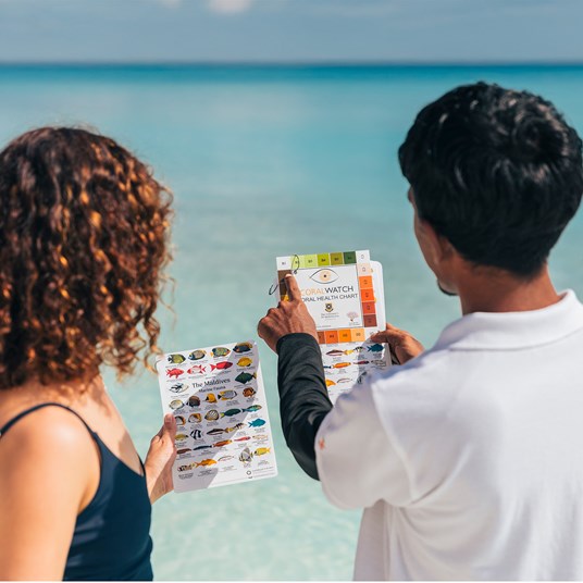 Ssif Marine Biologist 1224 Me