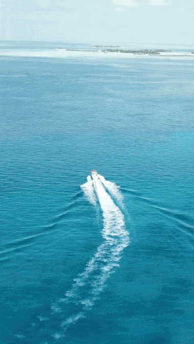 Video thumbnail - Treasure Hunt