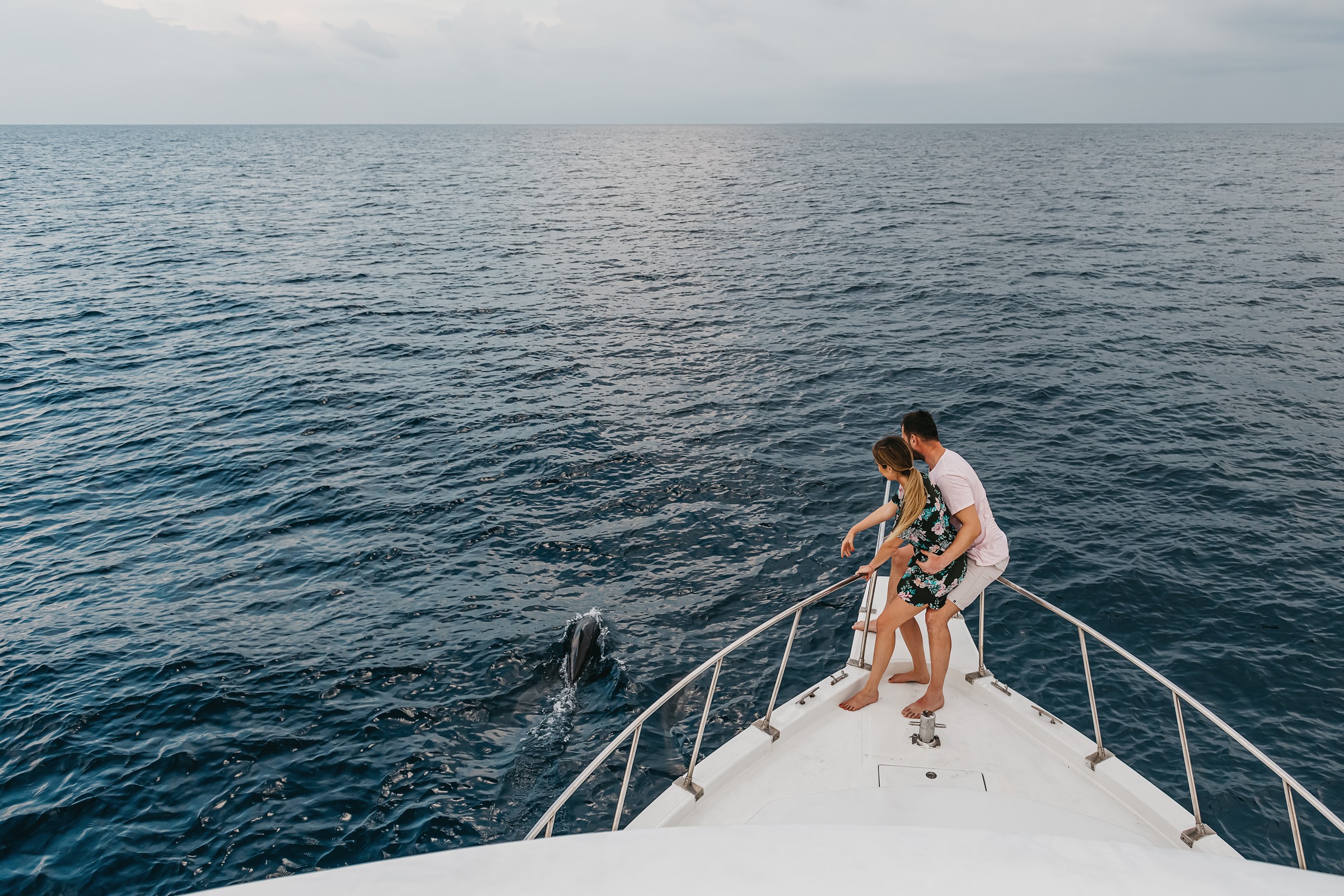 Lucky Dolphin Safari