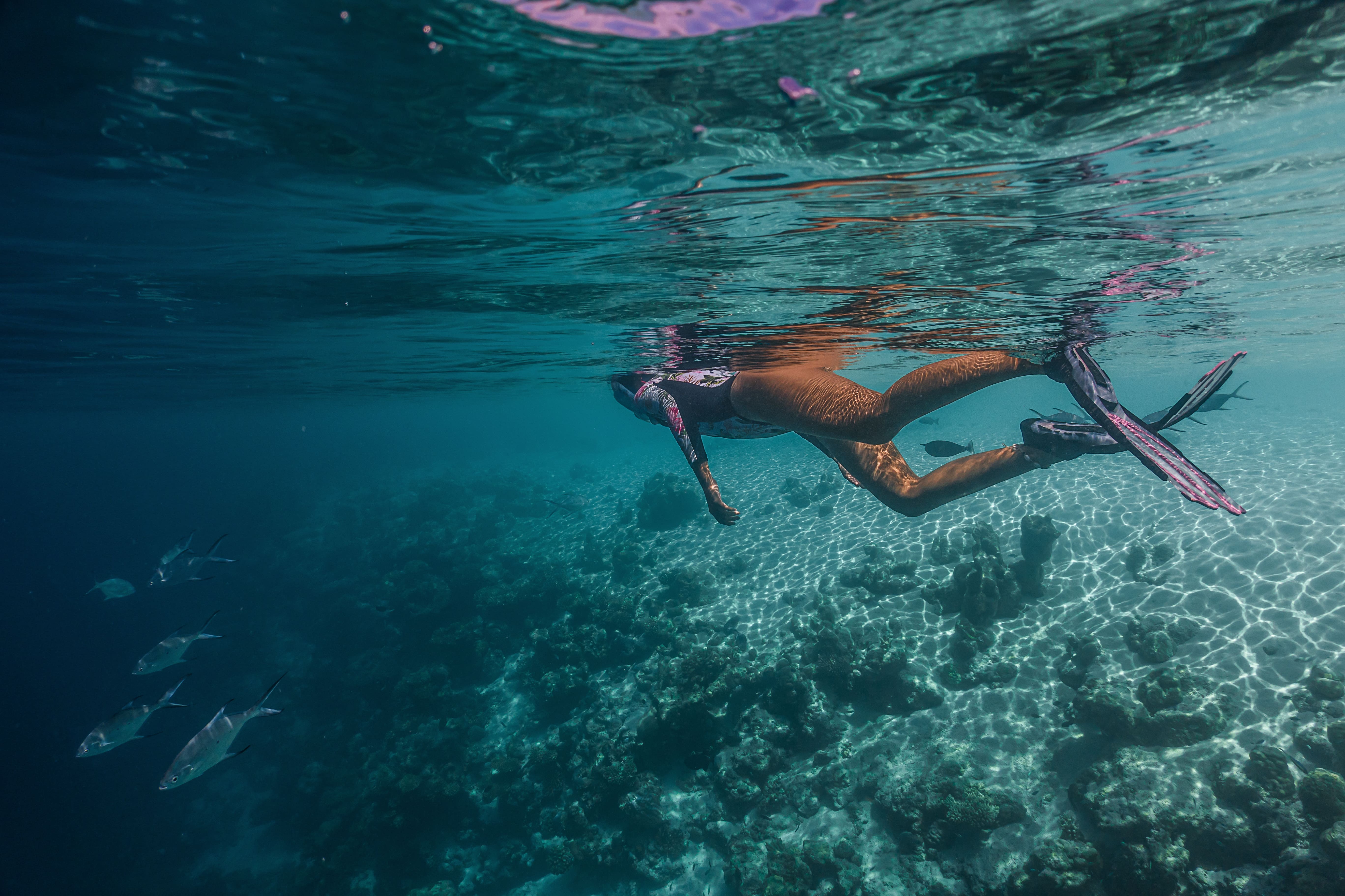 Snorkeling Min