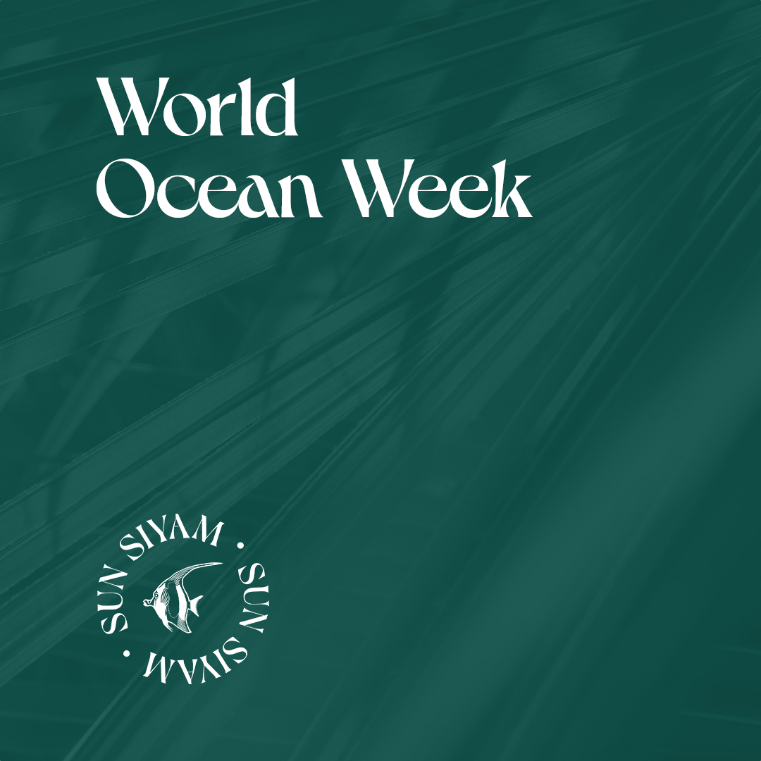 2026 Event World Ocean Week SSIV