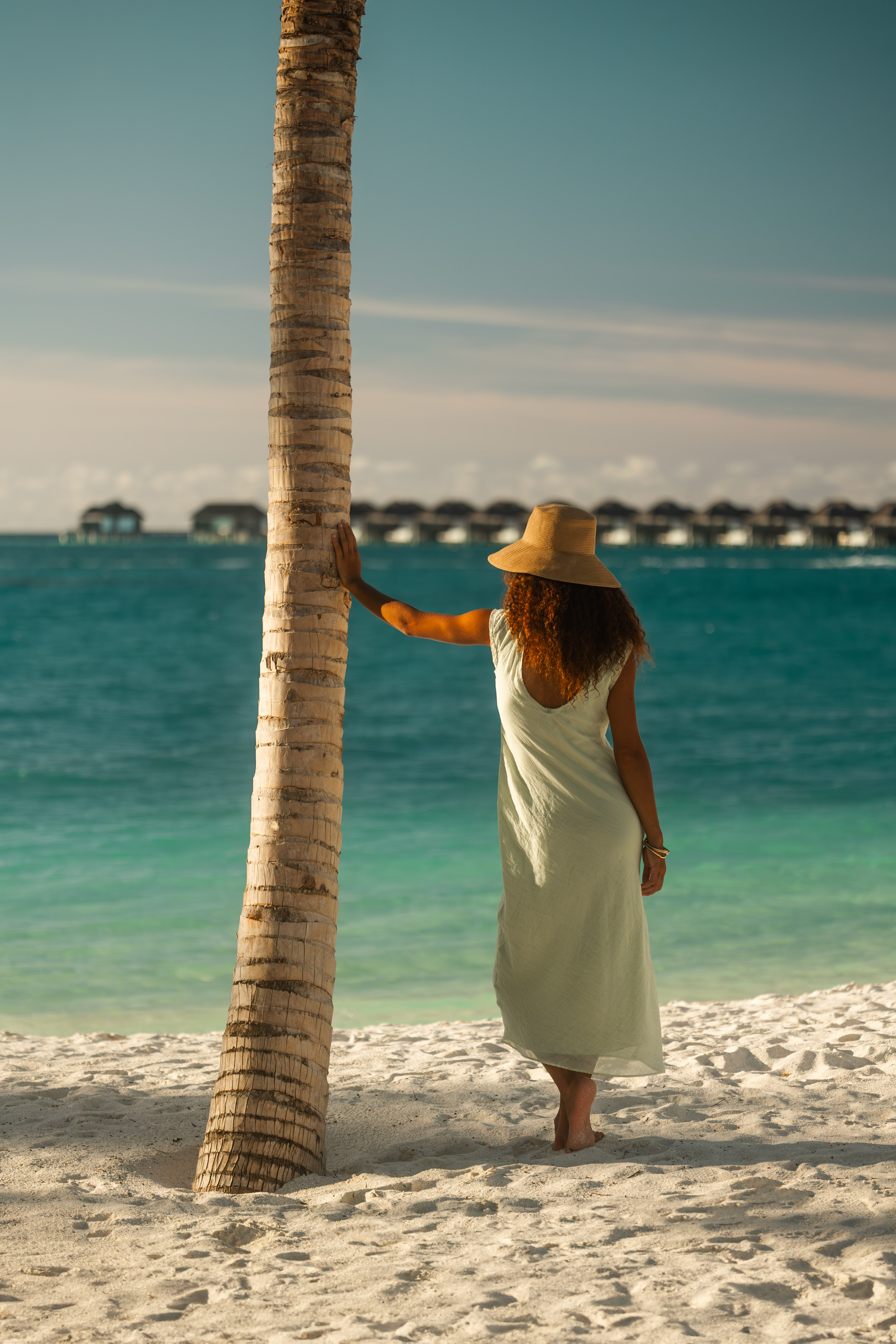 6G5A2066 Avec Accentuation NR (4)