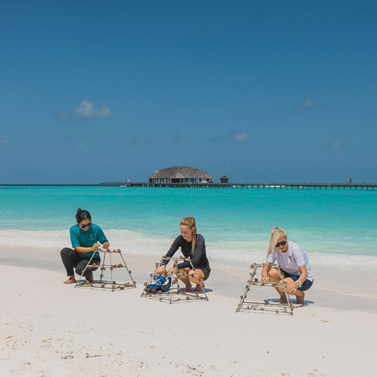 Glow Declaration At Sun Siyam Iru Fushi