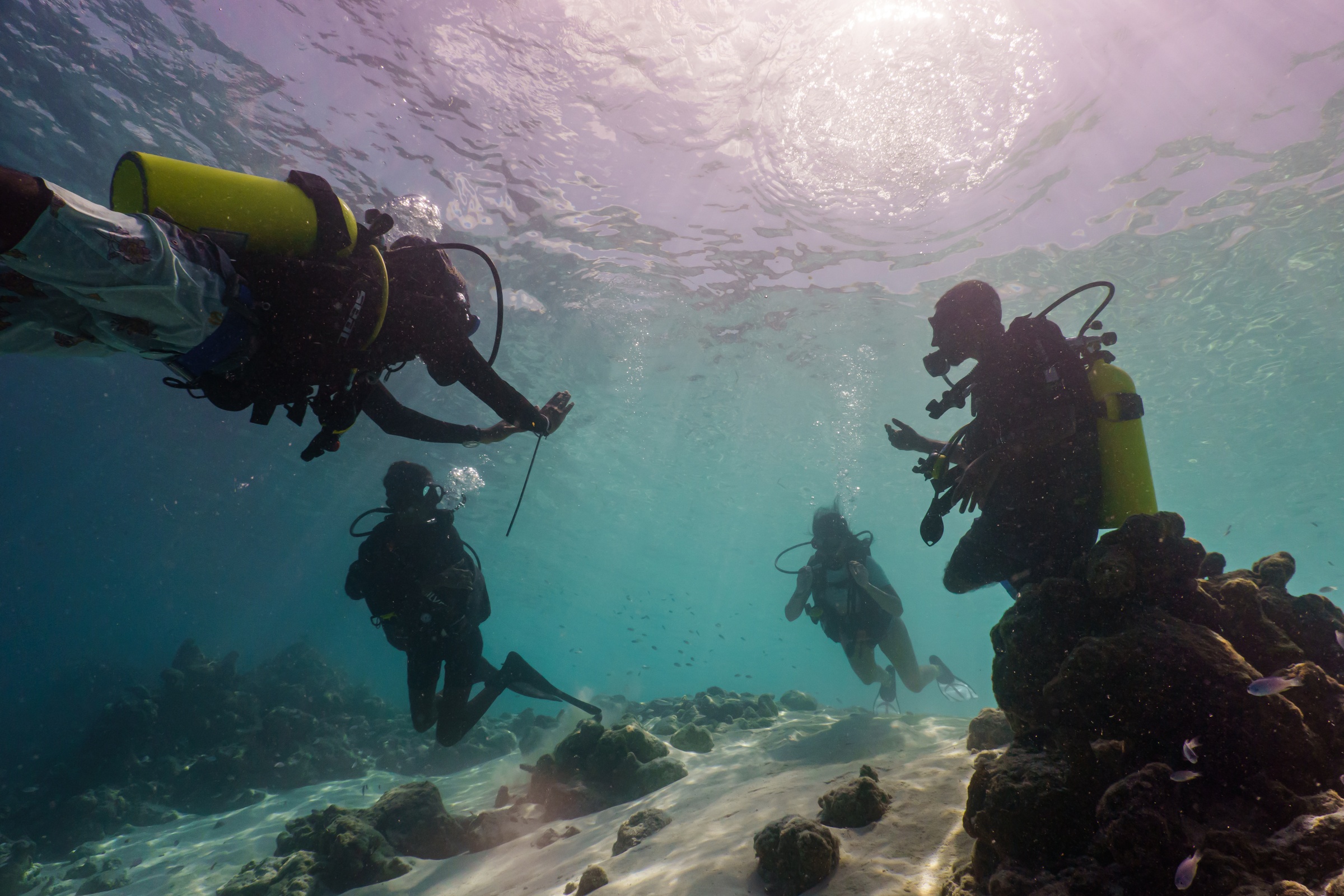 Diving 3 Sun Siyam
