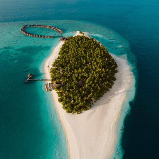Vilu Reef - Featured