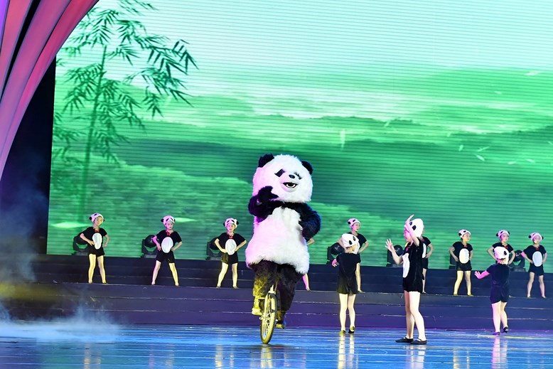 Chinese New Year Acrobatic