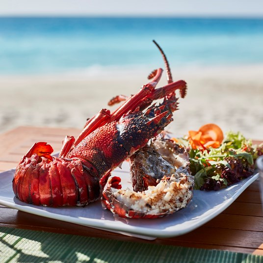 Sunsiyam Iv Groupergrill 0071
