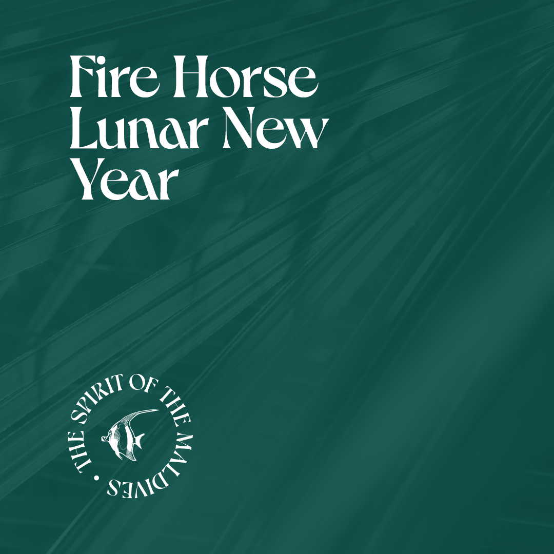 Fire Horse Lunar New Year